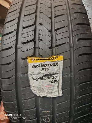 255/50r20 Dunlop Grandtrek Tire