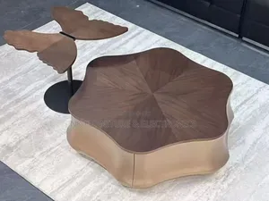 Aesthetic Center Table Two in One