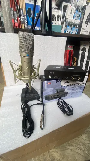 Birdsinger Uc22 Sound Card and U87 Condenser Mic