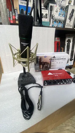 Complete Studio Set Sound Card and Microphone Birdsinger 2i2