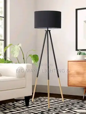 Modern Decorative Floor Lamp