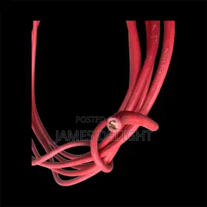 25mm Single-Core Cable Red