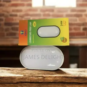 Wall Led Light