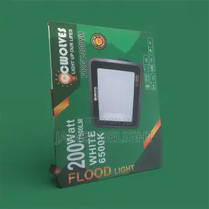 Electric Floodlight