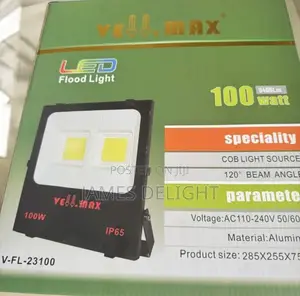 Electric Floodlight