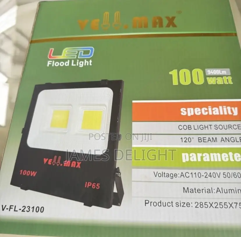Electric Floodlight