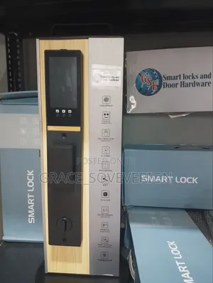 Smart Security Safety Locks (D8)