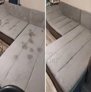 Upholstery Cleaning Services