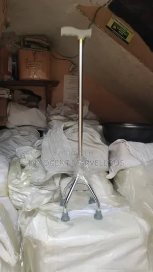 Silver Stand Quadripod Walking Stick