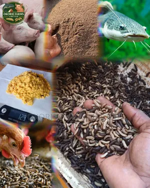 Black Soldier Fly Products.