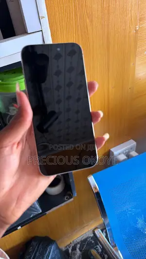 Apple iPhone 15 Pro Max 256 GB Silver