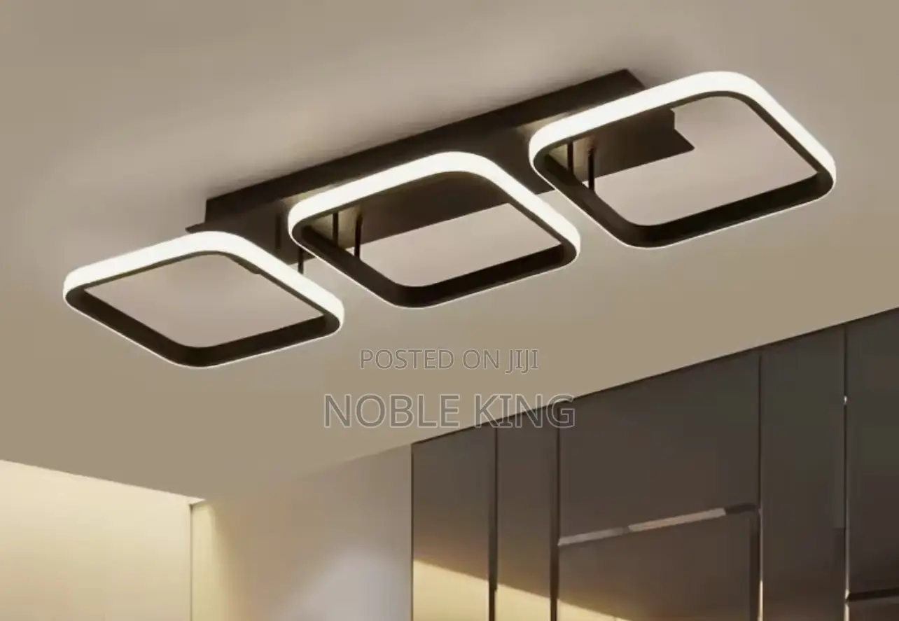 Ceiling Light