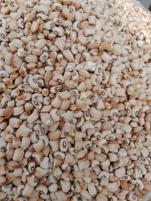 Grains of All Types.
