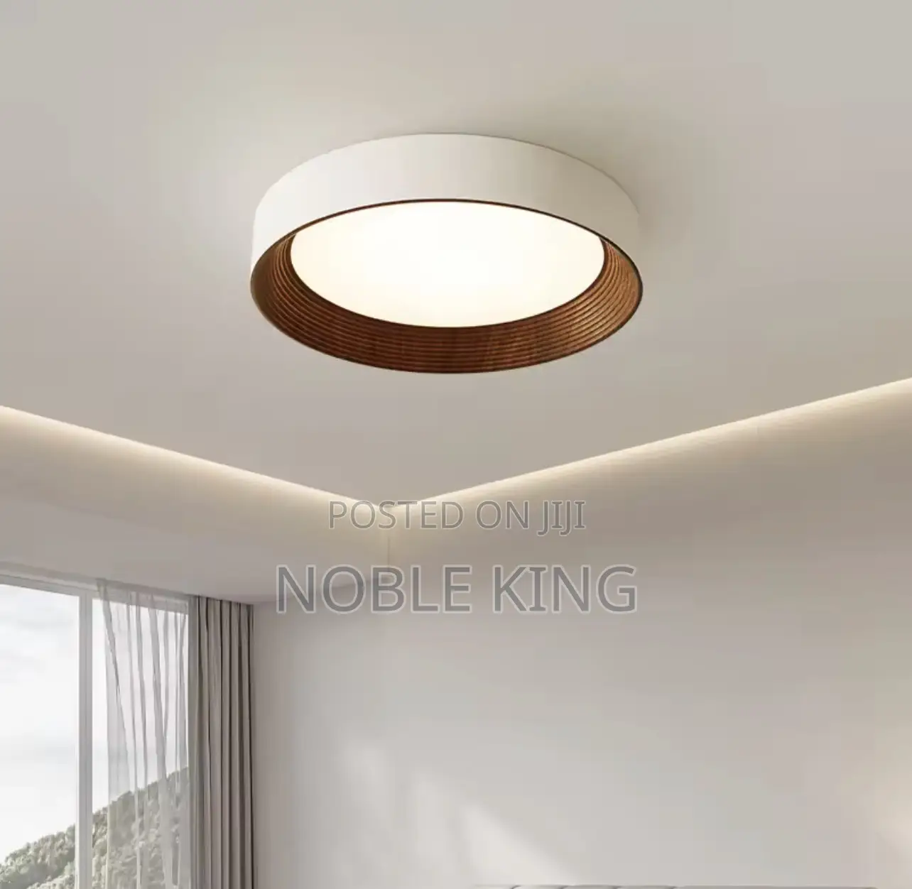 Ceiling Fittings