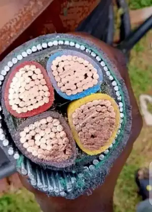 185mm 4core Armored Cable Full Gauge