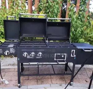 Charcoal & Gas Outdoor Barbecue Grill