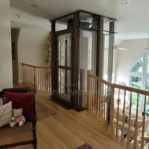 Factory Directly 400kg Residential House Small Home Mini Elevator