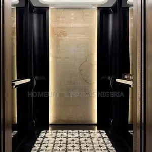 High Performance Modern Glass Passenger Hoist Elevator
