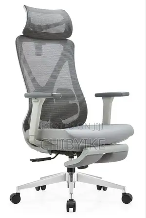 Home and Office Chair