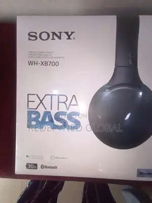 Sony Headsets