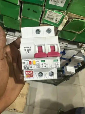 Wi-Fi Breaker 63amps 2pole