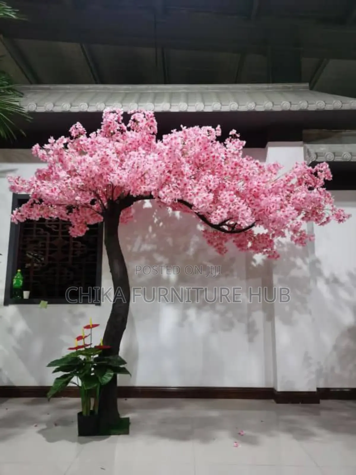 Quality Rose Flower Tree