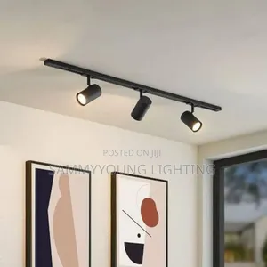 Quality Three 3 Eye Track Led Light With Rail