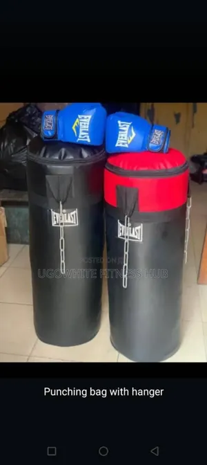 Everlast Heavy Punching Bag