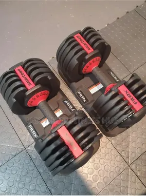 Itrx Smartbell Adjustable Dumbbells.