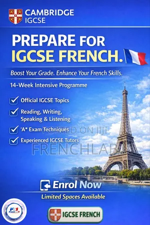French Language Tutor