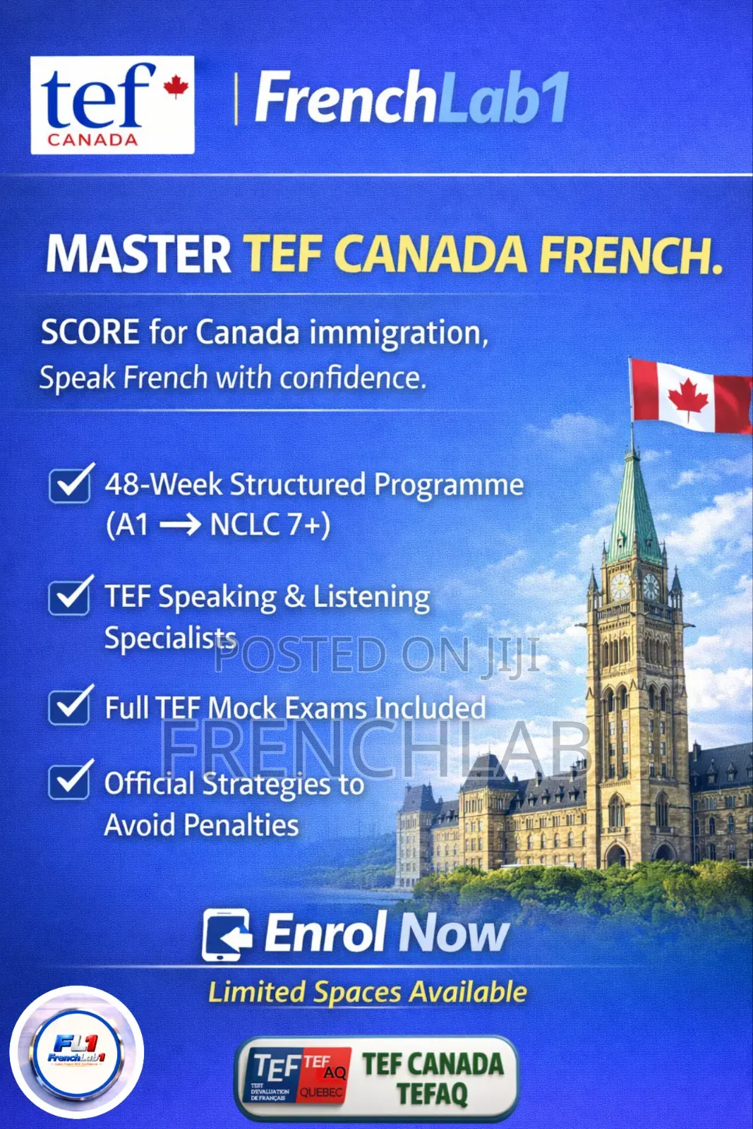 French Language Tutor