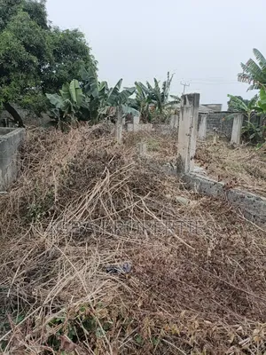 Full Plot at Abule Eko Off Igbopa Rd, 2 Buildings From Tarred Rd 10m