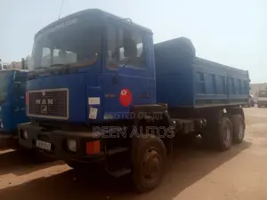 10 Tyres Man Diesel Tipper
