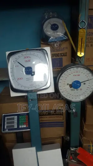 300kg Analog Camrry Scale