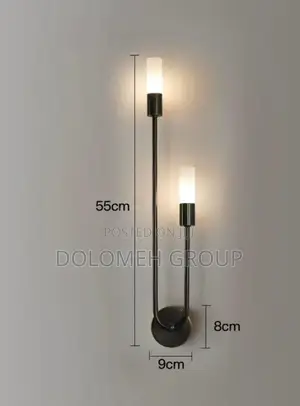 Double Head Led Light Wall Sconce