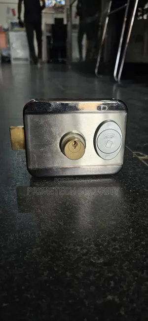 Security Electric Rim Lock With Remote
