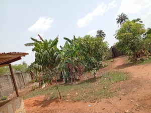 20 Plots of Land