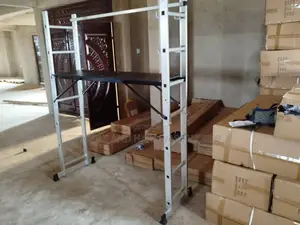 Scaffolding Ladder
