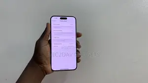 Apple iPhone 15 Pro Max 256 GB Gray