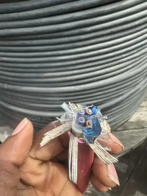 1.5mmx2pairs Armored Instrumentation Cables