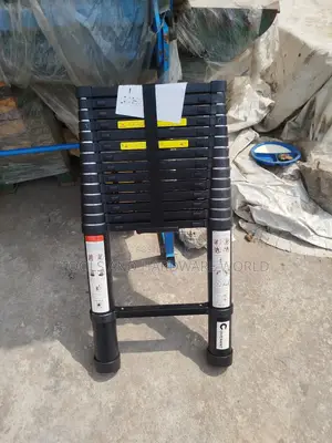 Telescopic Ladder 4.4miters