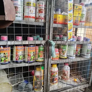 Chemical for Insect Fly and Others Any Insect