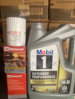 Oil Filter Ford (Motorcraft) and Mobil 1 5w-30 5l Fully Synthetic Oil