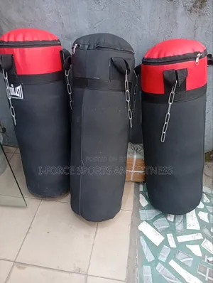 Everlast Punching Bag