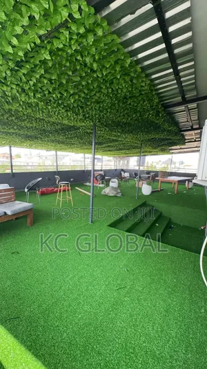 Artificial Grass Give Ur Compand Nice Looking