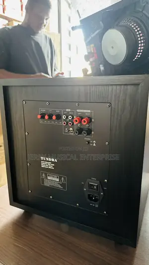 300w Active Floor Woofer For Cinema Setup Home Used Etc