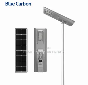 Blue Power All in One Solar Street Light