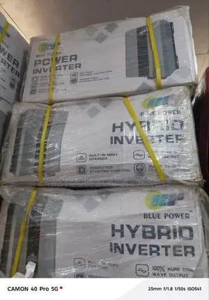 Blue Power Inverter 5kva 24v Hybrid