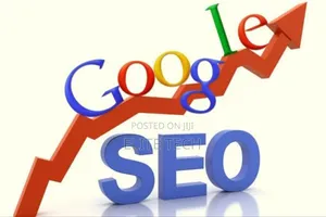 Professional Site Seo Optimization