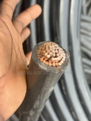 500mmx1core PVC PVC Heavy Duty Copper Cable